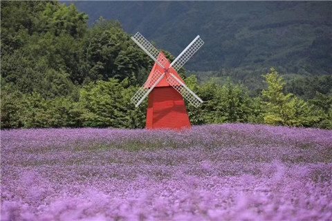 微信图片_20220731225207