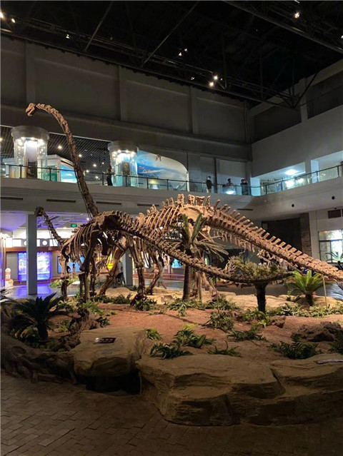 微信图片_20240131203355