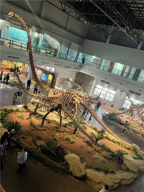 微信图片_20240131203359