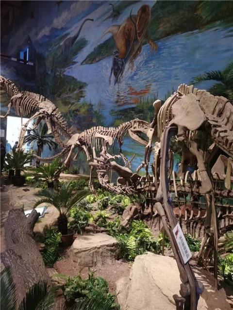 微信图片_20240131203351