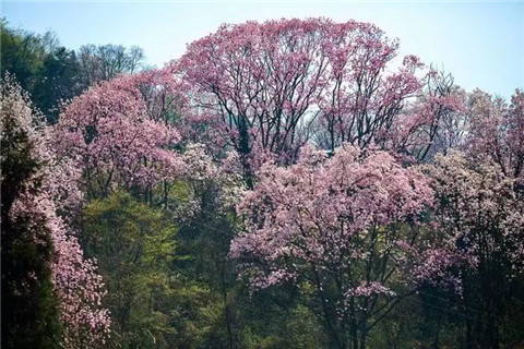 微信图片_20240330194743