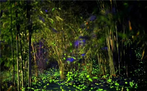 微信图片_20240330200141