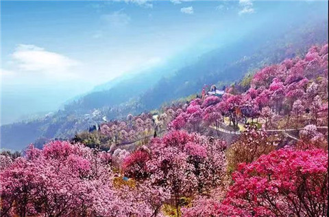 微信图片_20240330194549