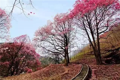 微信图片_20240330194547