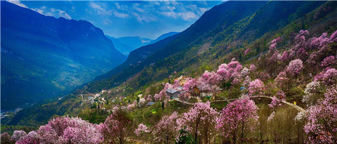 微信图片_20240330194638