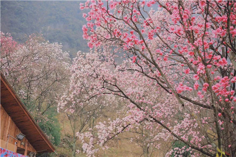 微信图片_20240330194642