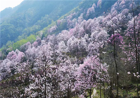 微信图片_20240330194729