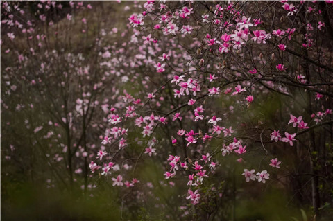 微信图片_20240330194634