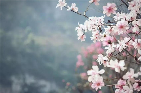 微信图片_20240330194552