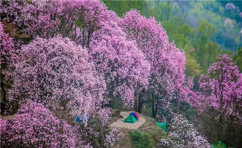 微信图片_20240330194645