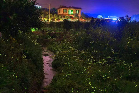 微信图片_20240330200151