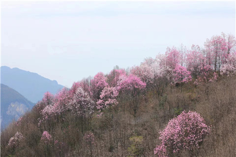 微信图片_20240330194732