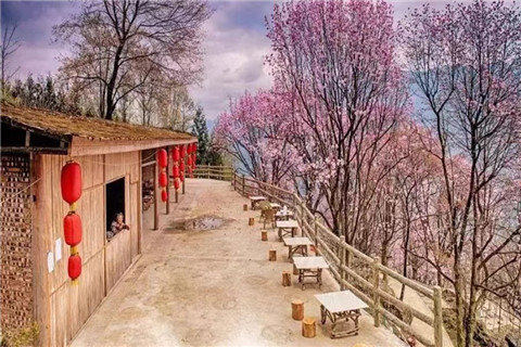 微信图片_20240330194739