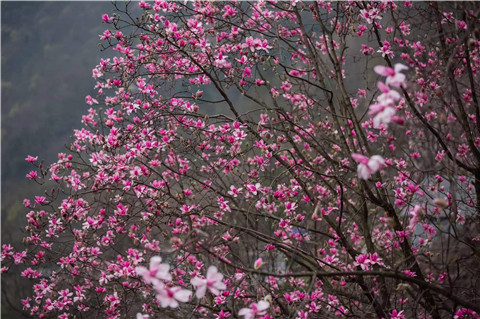 微信图片_20240330194725