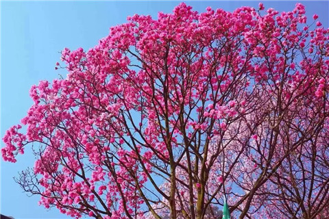 微信图片_20240330194555