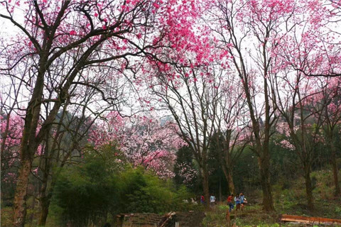 微信图片_20240330194524