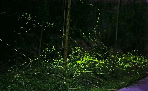 微信图片_20240330200137