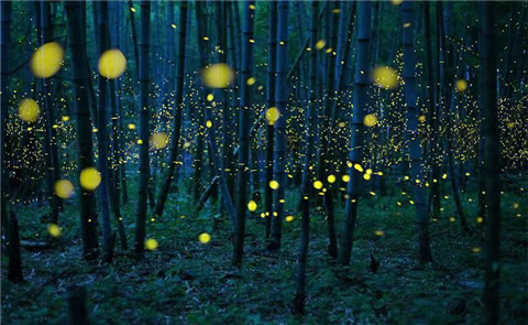 微信图片_20240330200134