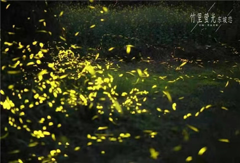 微信图片_20240330200148