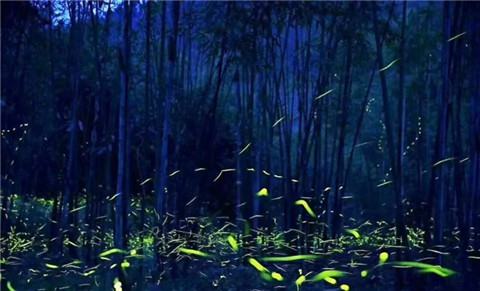 微信图片_20240330200130