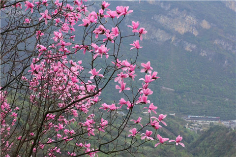 微信图片_20240330194736