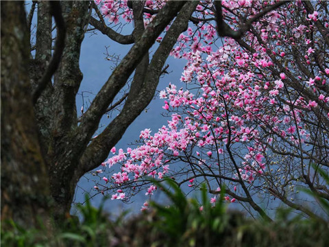 微信图片_20240330194558