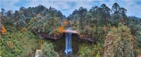 微信图片_20240523105754