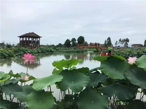 微信图片_20240610204925