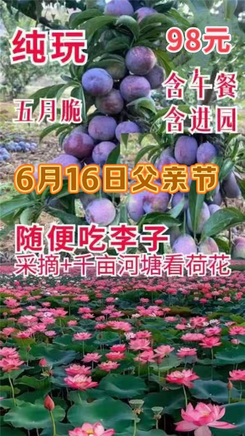 微信图片_20240610205859
