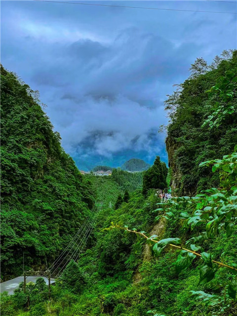 微信图片_20240704172332