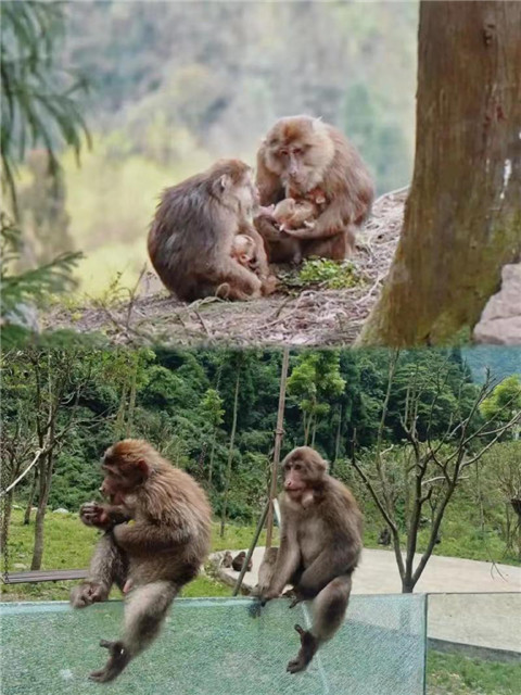 微信图片_20240704172103