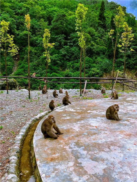 微信图片_20240704172325