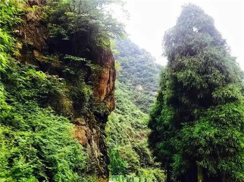 微信图片_20240704172215