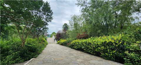 微信图片_20240709164033