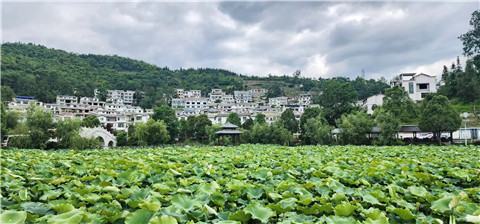 微信图片_20240709164054