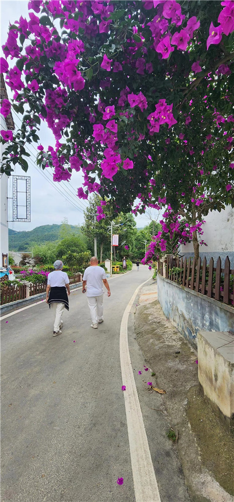 微信图片_20240709164029