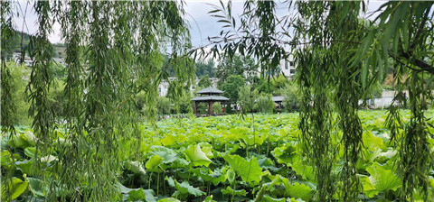 微信图片_20240709164103