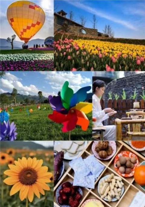 微信图片_20240710211633