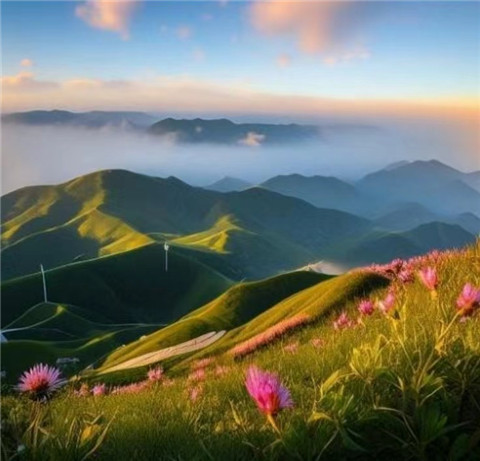 微信图片_20240710211625