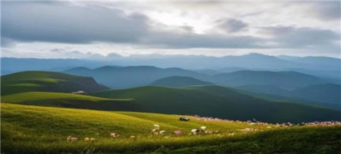 微信图片_20240710211629