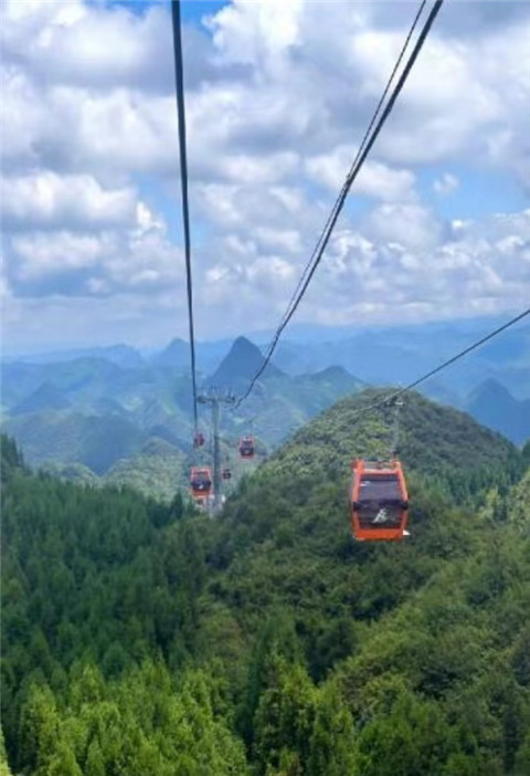 微信图片_20240710211636