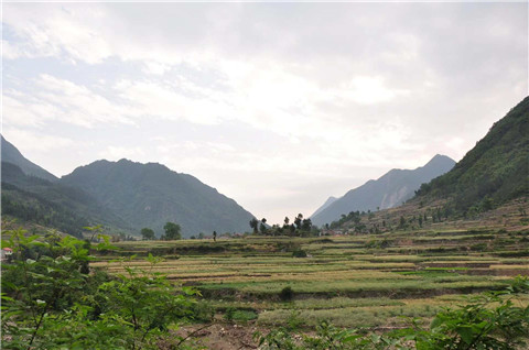 微信图片_20240725151120