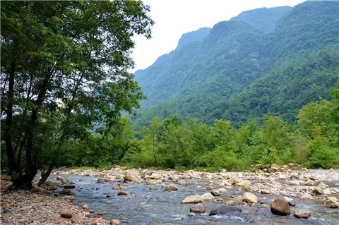 微信图片_20240725151129