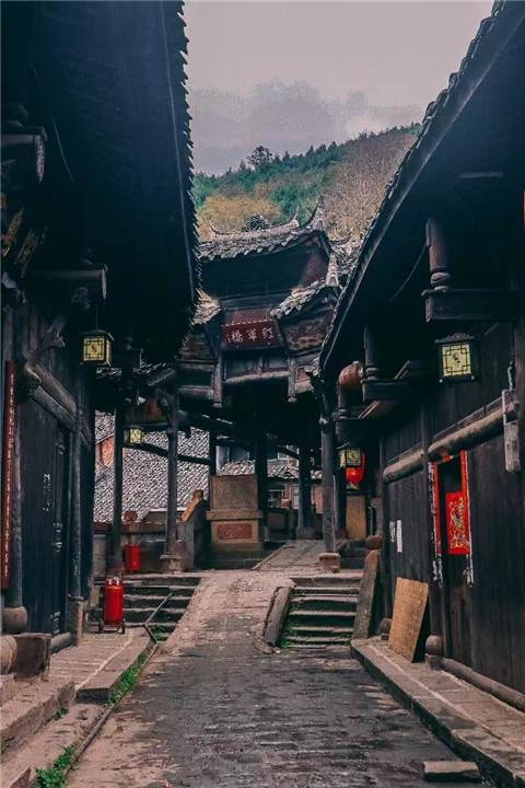 微信图片_20240725151106