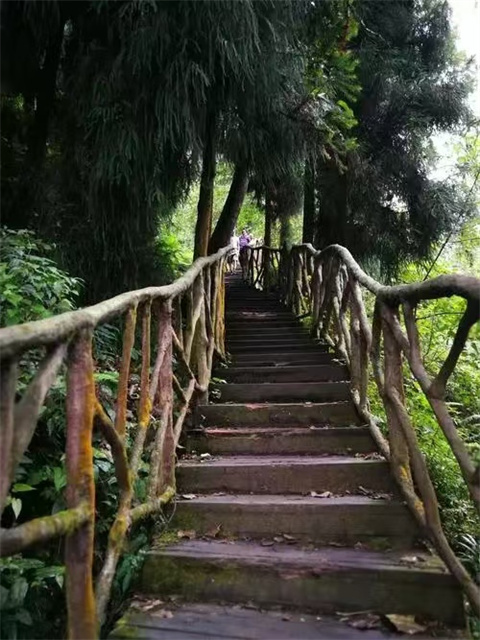 微信图片_20240902173926