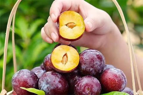 微信图片_20240904184009