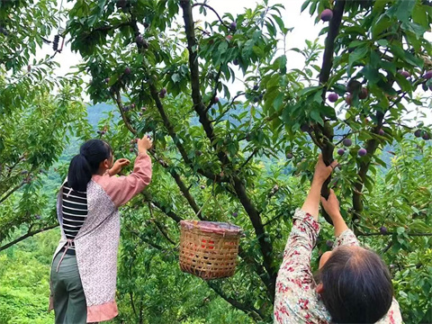 微信图片_20240904184000