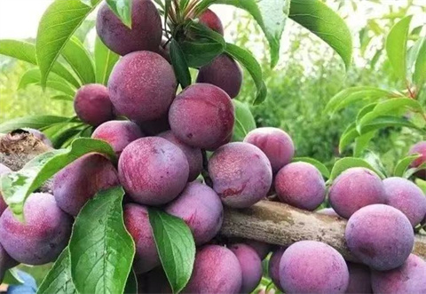 微信图片_20240904183937