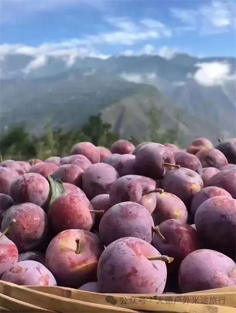 微信图片_20240904184003