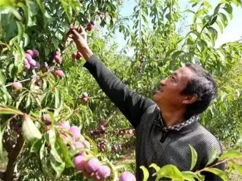 微信图片_20240904184012